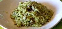 Risotto di Crema Zucchino