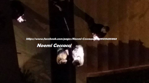 Foto di Noemi Ceccacci e  Marco Fantini